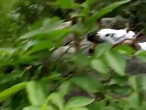 South Indian desi randi fucking in jungle