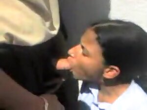 College Girl Blowjob